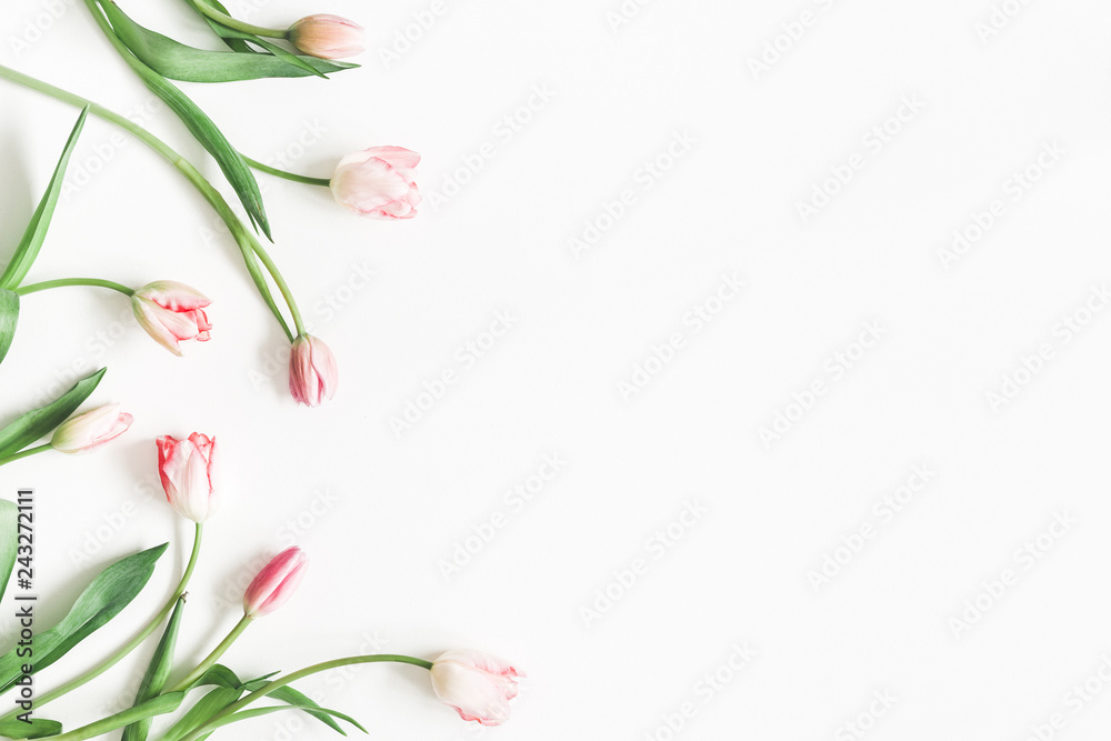 Fototapeta premium Kompozycja kwiatów. Różowy tulipan kwitnie na białym tle. Walentynki, koncepcja dzień matki. Leżał płasko, widok z góry, miejsce kopiowania