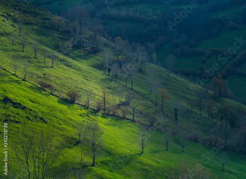 Cabaña pasiega, San Roque de Riomiera, Valles Pasiegos, Cantabria, Spain, Europe photo