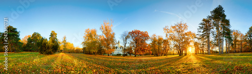 Autumn park with sun and forest - Panorama © TTstudio