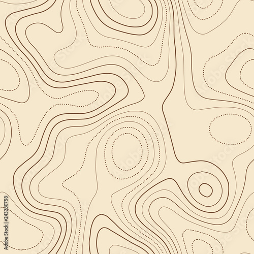 Topographic map background. Admirable topographic map. Seamless design, fascinating tileable isolines pattern. Vector illustration.