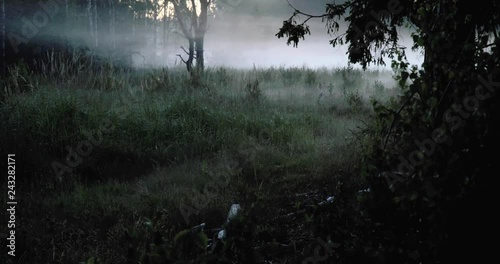 Time lapse of fog moving in the forest