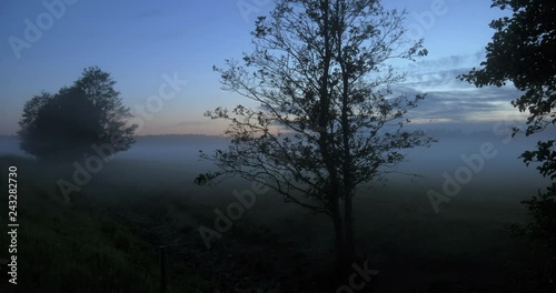 Time lapse of fog moving gracefully through a field with trees