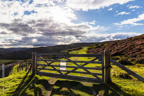 Cairngorms Meadows photo