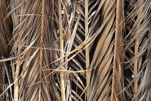 natural bamboo texture