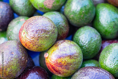 Avocado fruit group for sale in the market.