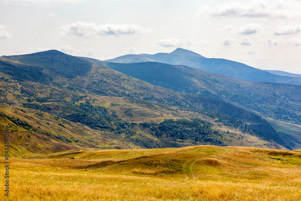 Beautiful landscape in Carpathian mountains.