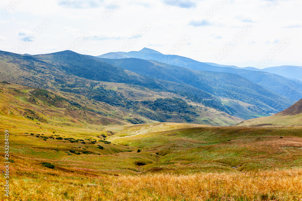 Beautiful landscape in Carpathian mountains. - obrazy, fototapety, plakaty 