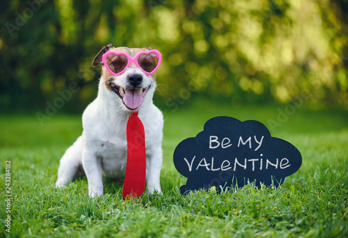 Valentines card greeting with dog wearing tie and glasses next to inscription on blackboard  "Be my valentine"