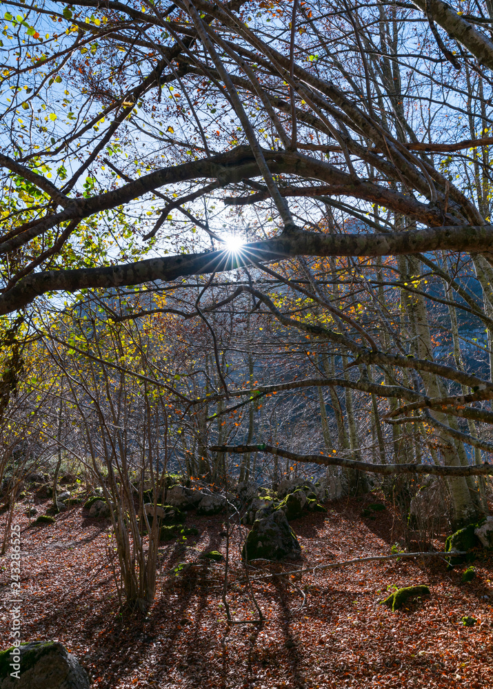 Naklejka premium Trail to Canalahonda, Collados del Asón Natural Park, Soba Valley, Valles Pasiegos, Cantabria, Spain, Europe