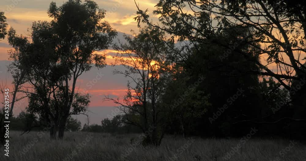 Time lapse of sunset with clouds over a field with dark trees in the foreground Time lapse of sunset with clouds over a field with dark trees in the foreground