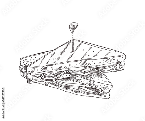Sandwich Monochrome Sketch Vector Illustration