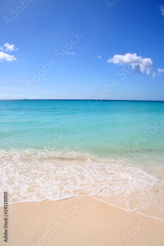 Beautiful white sand beach with turquoise sea & blue sky, Aruba