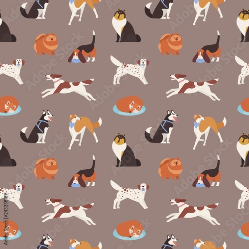 Seamless pattern with cute dogs of various breeds playing, running, walking, sitting, sleeping. Backdrop with adorable cartoon pet animals on grey background. Flat cartoon vector illustration.