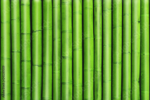 Fototapeta Naklejka Na Ścianę i Meble -  green bamboo fence background, green bamboo texture stack