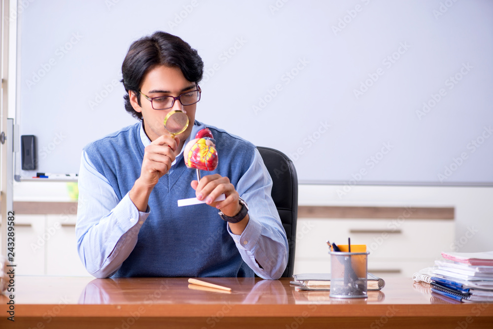 Fototapeta premium Young lecturer teacher teaching anatomy