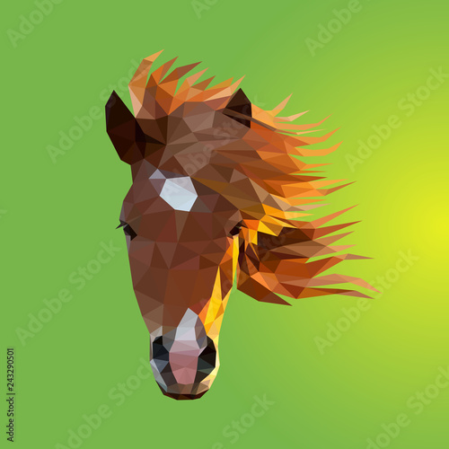 The Face of Horse consisting of triangles - Vector