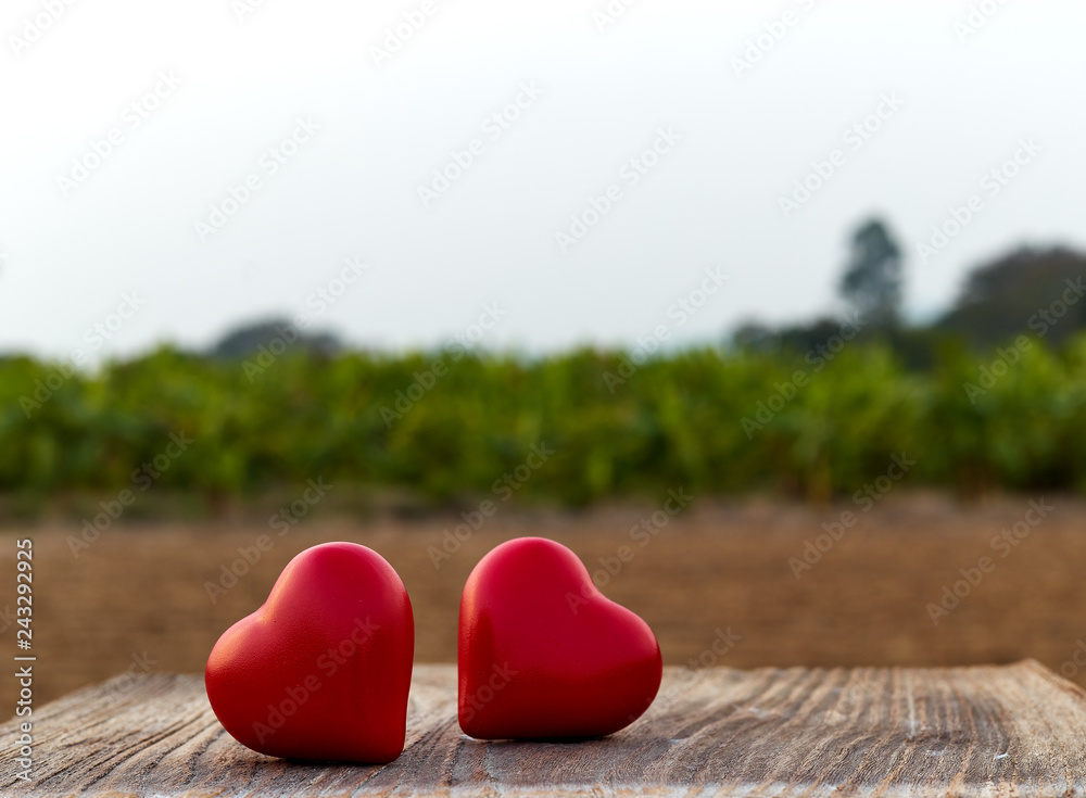 Fototapeta premium Two Heart on a wooden board