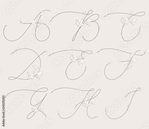 Vector Hand Drawn floral monograms and logos