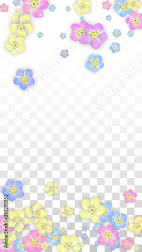 Vector Realistic Colorful Petals Falling on Transparent Background.  Spring Romantic Flowers Illustration. Flying Petals. Sakura Spa Design. Blossom Confetti. Design Elements for Wedding Decoration.