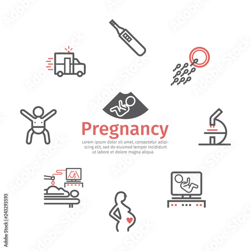 Pregnancy banner. Line icons set. Infographics. Vector signs for web graphics.