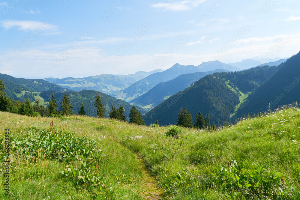 Fototapeta premium Ausblick auf französische Alpen im Sommer