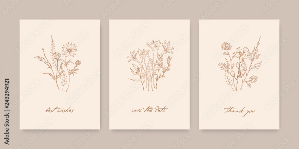 Bundle of elegant card templates decorated with wild blooming flowers, herbs and herbaceous plants on light background. Monochrome realistic hand drawn vector illustration in beautiful vintage style. Bundle of elegant card templates decorated with wild blooming flowers, herbs and herbaceous plants on light background. Monochrome realistic hand drawn vector illustration in beautiful vintage style.