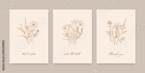 Billede på lærred Bundle of elegant card templates decorated with wild blooming flowers, herbs and herbaceous plants on light background