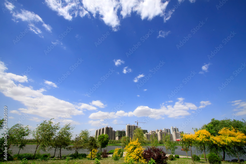 Unfinished high-rise buildings in the city