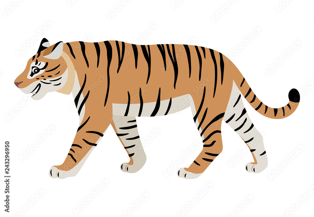 Obraz premium Friendly predatory animal, cute walking tiger icon, big wild cat, vector illustration isolated on white background