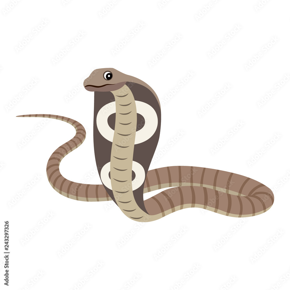 Fototapeta premium Dangerous wild animal, reptile, poisonous cobra icon, vector illustration isolated on white background