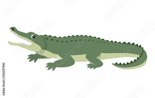 Friendly cute green alligator  funny wild animal  cartoon crocodiles  vector illustration isolated on white background