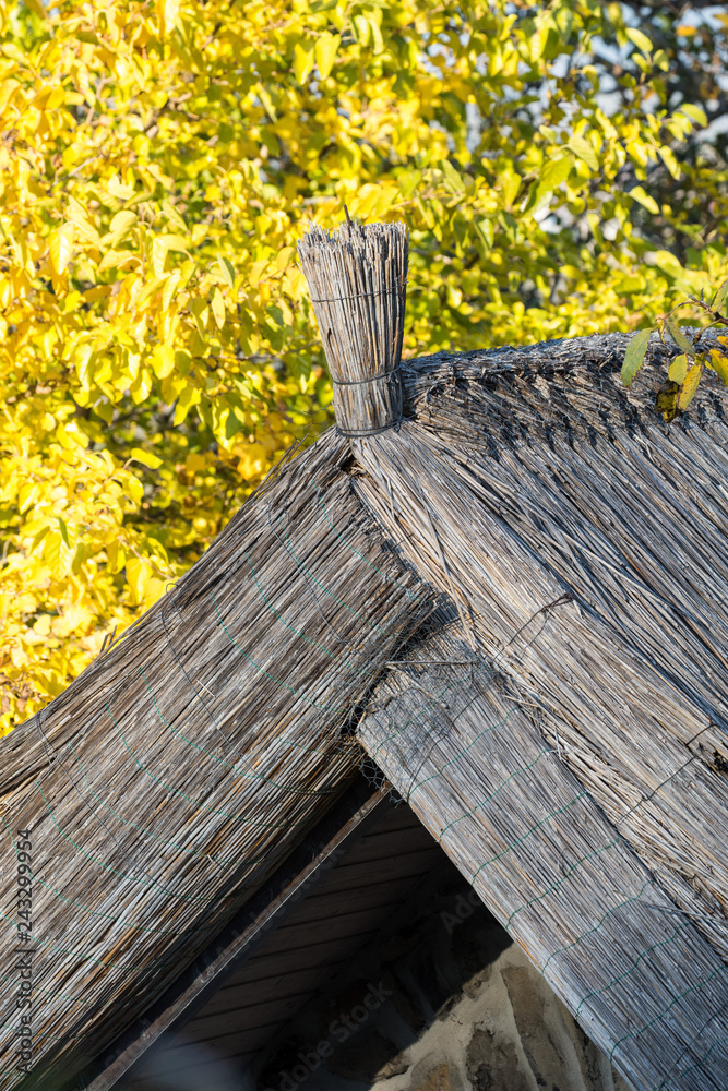 Fototapeta premium Roof made from reed