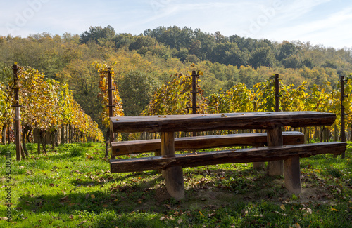 wooden bench in the vinery 
