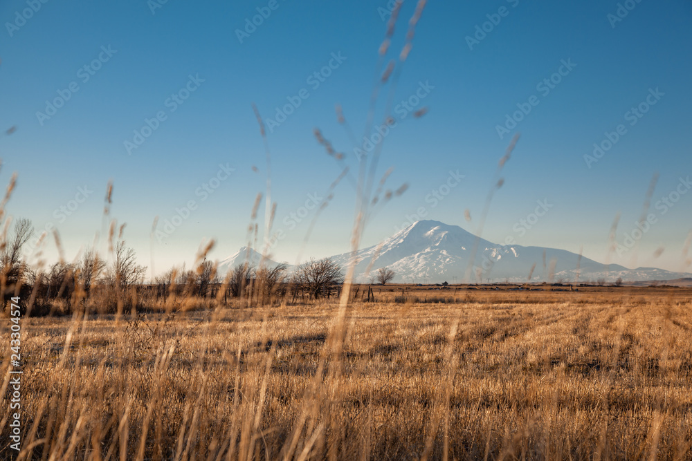 Obraz premium Ararat mountain in Armenia