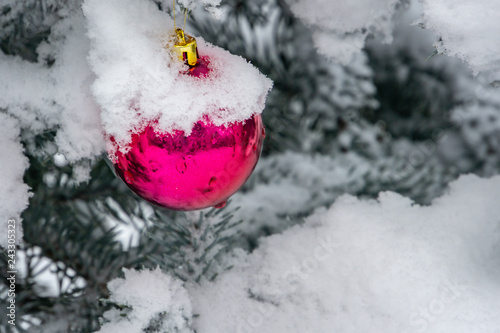 Christmas toy, Christmas red ball under the snow on a branch of fir on the left. Real winter in the garden. Selective focus with amazing snow blur. There is a place for your text © MarinoDenisenko