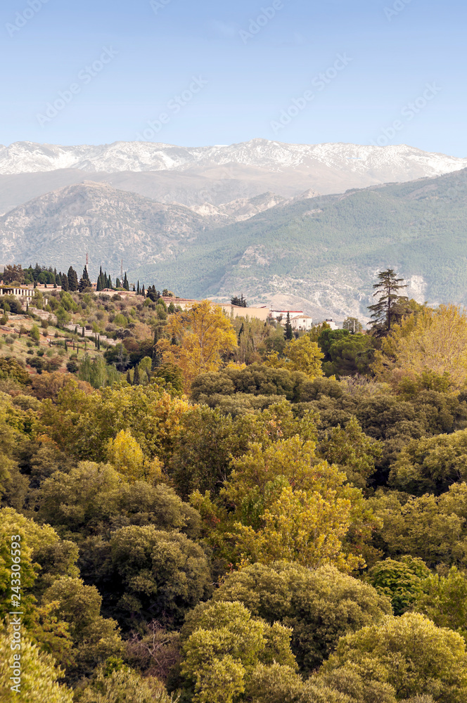 Forests of the Spanish city of Granada with views of the city