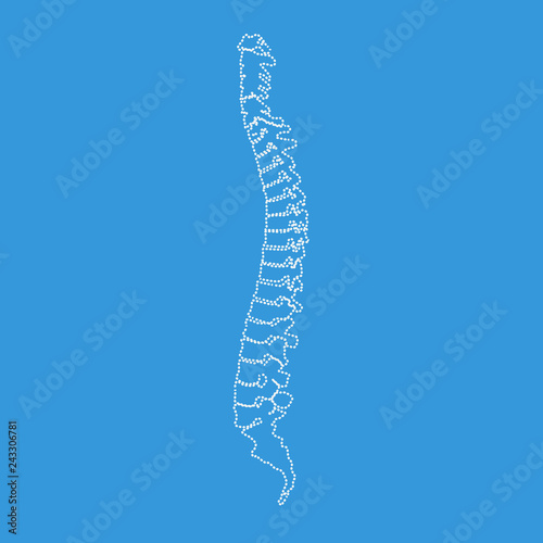 Illustration white spine diagnostic symbol or sign design. Dotted outline or line art style vector illustration.