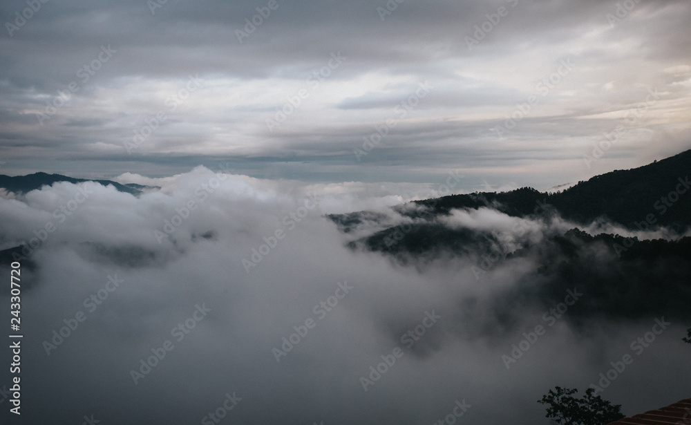 Morning fog, white sky, blue sky