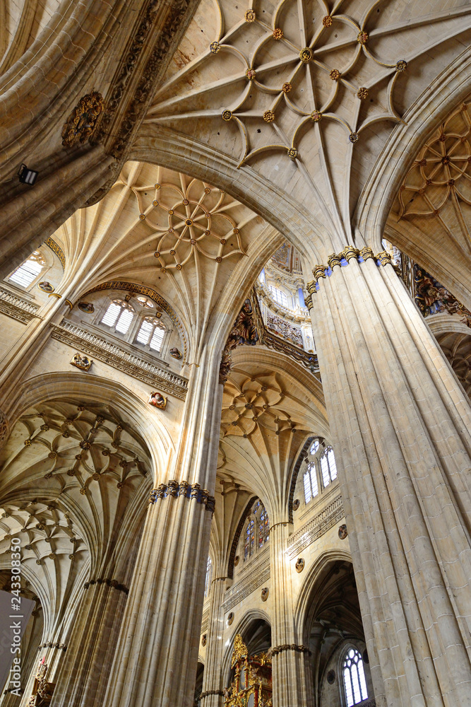 Salamanca, Spain - November 15, 2018: Interior of the Cathedral of Salamanca.
