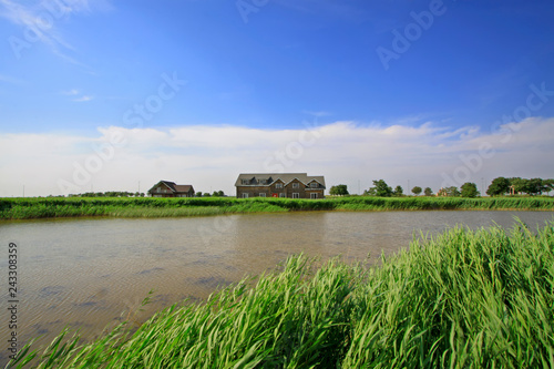 Hebei caofeidian golf course landscape photo