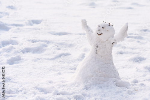 Happy little snowman © Miller_Eszter