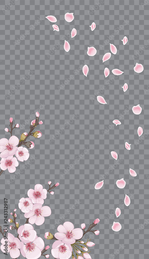 Obraz premium Rose on transparent background. Flying sakura flowers. The idea of textile design, wallpaper, packaging, printing, story. Handmade background in the Japanese style.
