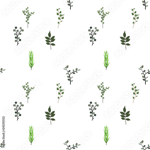 seamless pattern. Tropical elements: Agonis, Eucalyptus, Annona, Balata, Zamiokulkas, Cissus. Colorful naturalistic pictures. Vector Illustration.