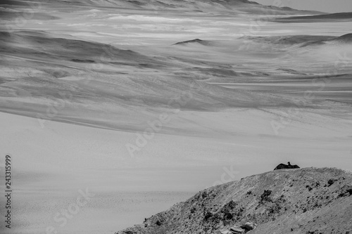 Spiaggia, deserto, mare e animali nella riserva nazionale Paracas, Perù photo