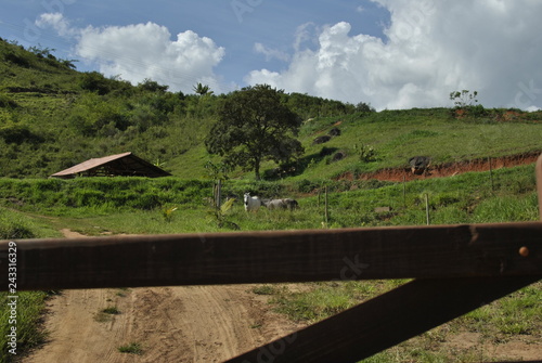 landscape with road