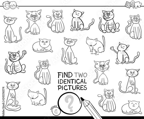 find two identical cat pictures coloring book