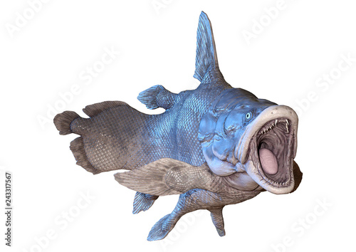 3D Rendering Mawsonia Fish on White photo