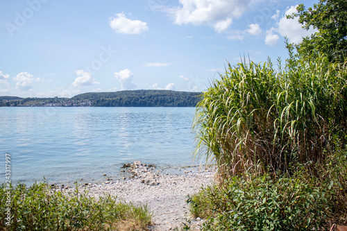 Natural beauty of the german Bodensee