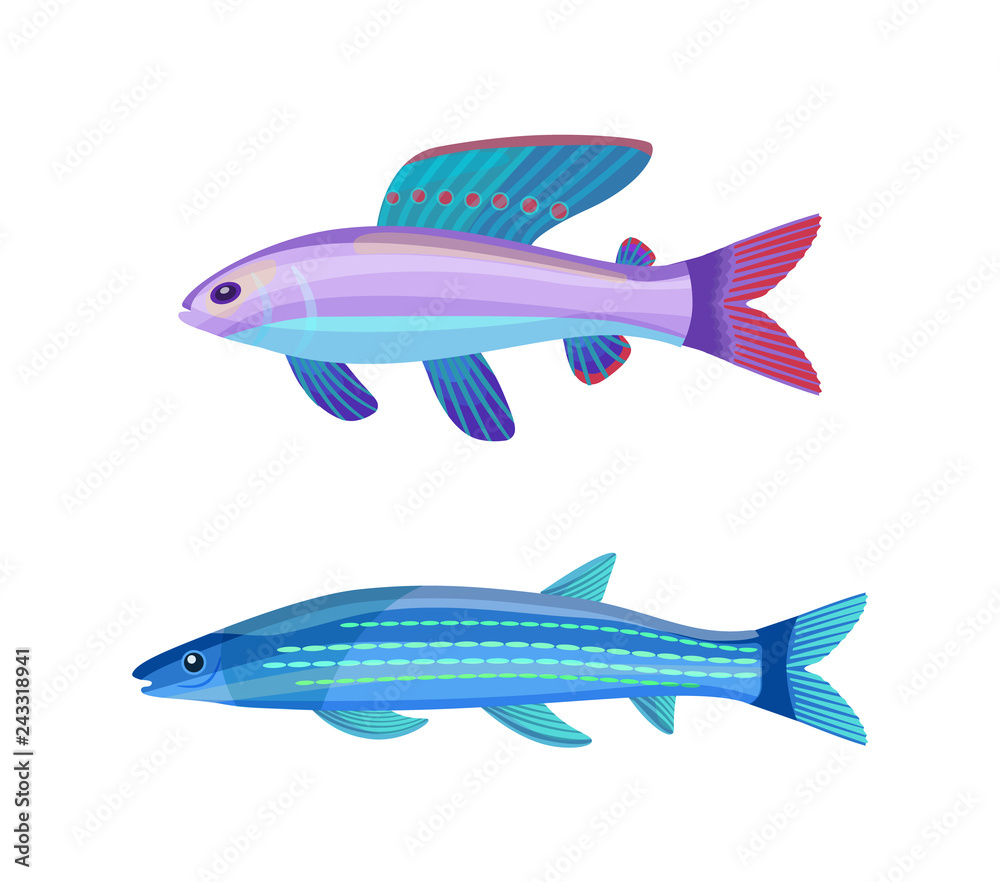 Unusual Color Marine Creatures Isolated on White Unusual Color Marine Creatures Isolated on White