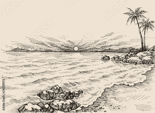 Sunrise on the beach drawing. Sea view and palm trees on shore